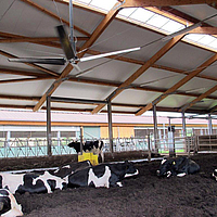 Ventilador de techo para refrigerar el granero con eficiencia energética