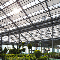 Protección solar eficaz para las plantas de invernadero