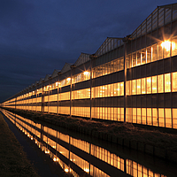 Invernadero HUESKER de noche - Edificio iluminado