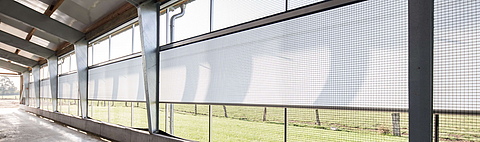 Cortina de apertura de dos paneles para la ventilación en el establo lechero