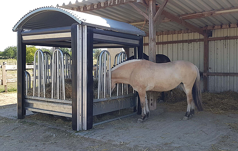 Dos caballos comen heno en el comedero automático