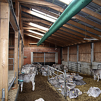 Bottom view of a Tube Air on the ceiling of a large cow barn