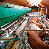 Lubratec Tube Cool sobre una estación de ordeño para la ventilación de las vacas durante el proceso de ordeño