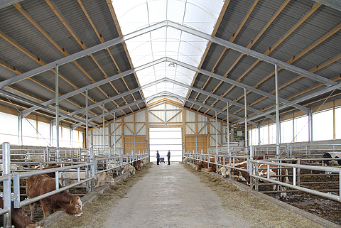 Lubratec® Lichtfirst - Iluminación y ventilación natural del establo para el bienestar de sus animales.