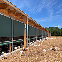 Ventilación envolvente como transición del jardín de invierno a la salida al aire libre para pollos de engorde ecológicos