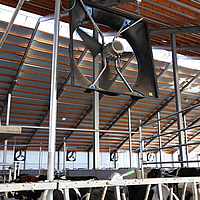Vista inferior de un ventilador axial incorporado sobre el recinto del establo de vacas