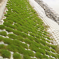 Estera de hormigón verde en el terraplén de un cauce fluvial